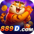 889d Gaming Experience